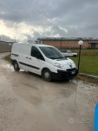 Pegeout expert frigorifero