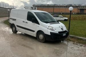 Pegeout expert frigorifero