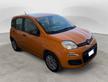 FIAT Panda 1.2 Easy s&s 69cv my19