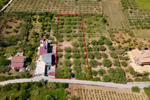 Terreno a Partinico, Contrada Turrisi