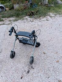 carrello deanbulatore