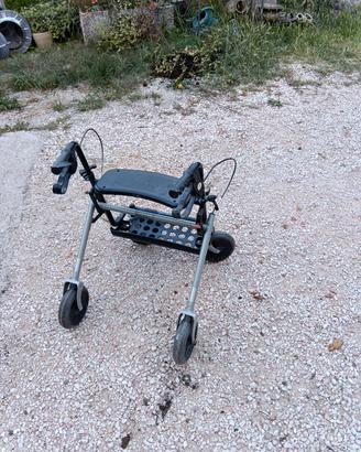 carrello deanbulatore