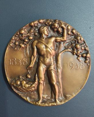 Medaglia Cassa Risparmio Ferrara