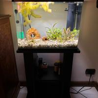 acquario laguna 50 completo