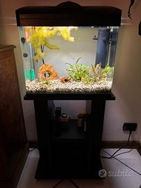 acquario laguna 50 completo