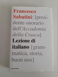 Lezioni di italiano di Francesco Sabatini