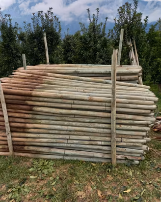 pali ,travi rotondi per piante in legno trattati