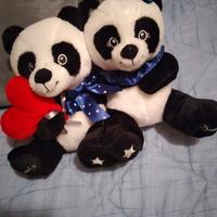 orsetti panda con cuore
