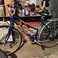 City bike Olmo