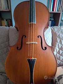 Violoncello Barocco 