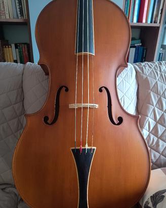 Violoncello Barocco 