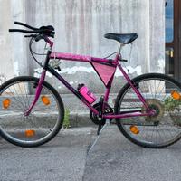 Mountain bike Bianchi