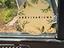 Immagine 5