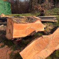 Tavole di legno massello di Cedro dell’altlante