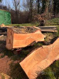 Tavole di legno massello di Cedro dell’altlante
