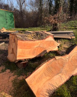 Tavole di legno massello di Cedro dell’altlante