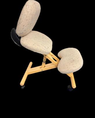 Sedia Ergonomica Cinius con Schienale – Come Nuova