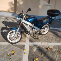 Revere ntv 650 d'epoca asi da vetrina