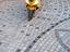 Immagine 4