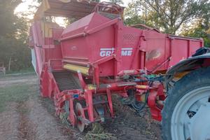 Scavapatate grimme trainata