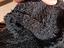 Immagine 5