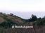 Immagine 10