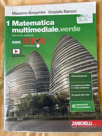 Libro di matematica multimediale.verde di 1