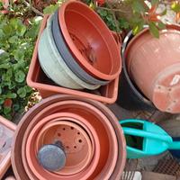 Vasi da giardinaggio o per piante da interno