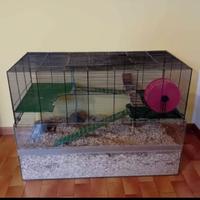 Gabbia per piccoli roditori, con fondo in vetro