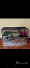 Gabbia per piccoli roditori, con fondo in vetro