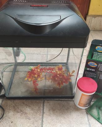 Acquario e accessori