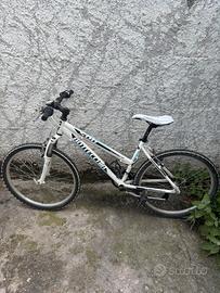 Bici Bottecchia