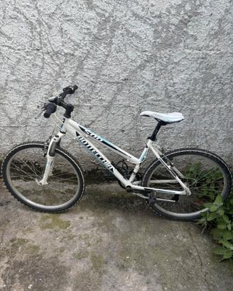 Bici Bottecchia