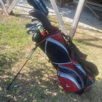 Mazze da golf con sacca