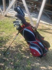 Mazze da golf con sacca