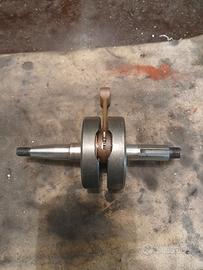 albero spalle piene am6