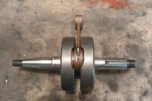 albero spalle piene am6
