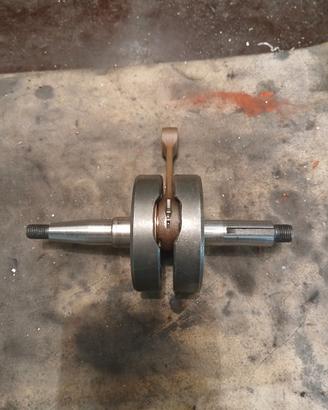 albero spalle piene am6
