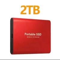 Hard Disk esterno portatile SSD da 2TB