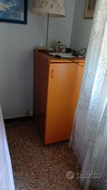 Cameretta bicolore