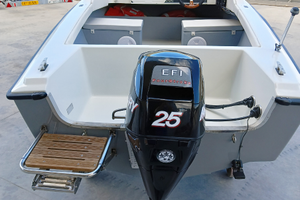 Vega 4,20 Mercury 25 CV