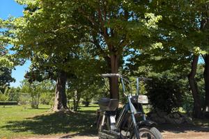 1983 Garelli Vip 3 n