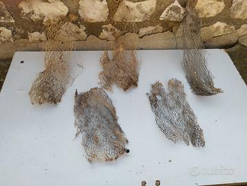 Vegetazione per diorami presepe, fibra naturale