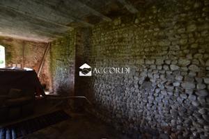 Rif.BL050| rustico montebelluna