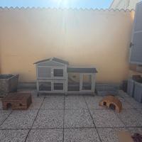 Gabbia conigli e accessori