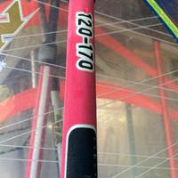 Boma Albero Windsurf