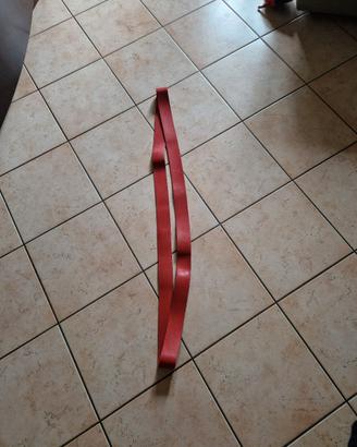 Elastico fitness