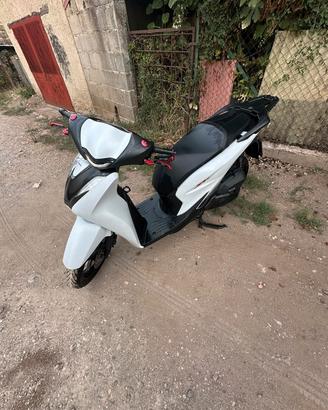 sh 125 2025 sport