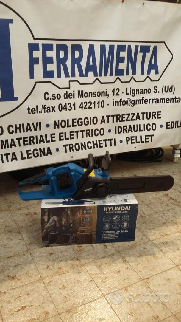 Subito - GM Ferramenta - ELETTROSEGA A BATTERIA 40V COD. 25300 - Giardino e  Fai da te In vendita a Udine