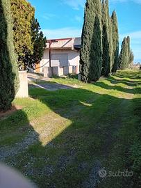 Fabbricato con terreno annesso